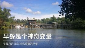 想回老家一趟，怎么和家人说，只说想家的话，他们不让回，有什么理由呢？
