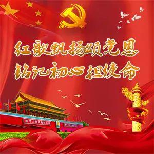 88影视