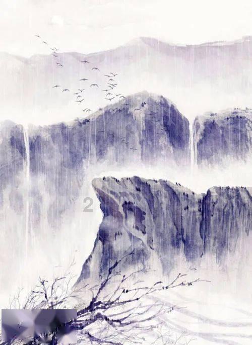 春雨直播app