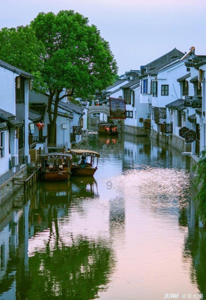 蓝狐视频