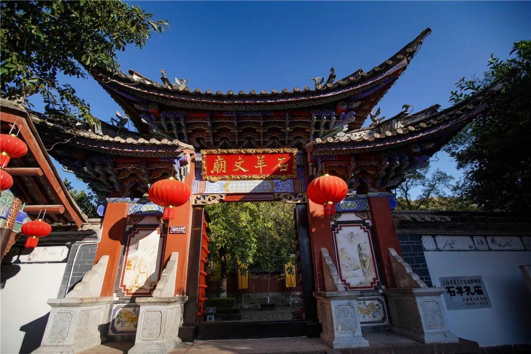 春雨直播app